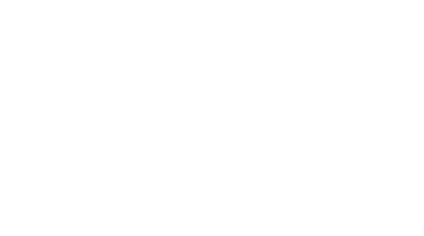 Javier Associates LLC