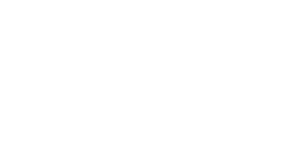 Fisport